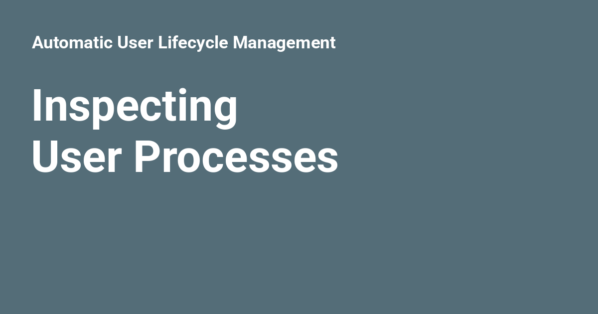 Inspecting User Processes - Automatic User Lifecycle Management
